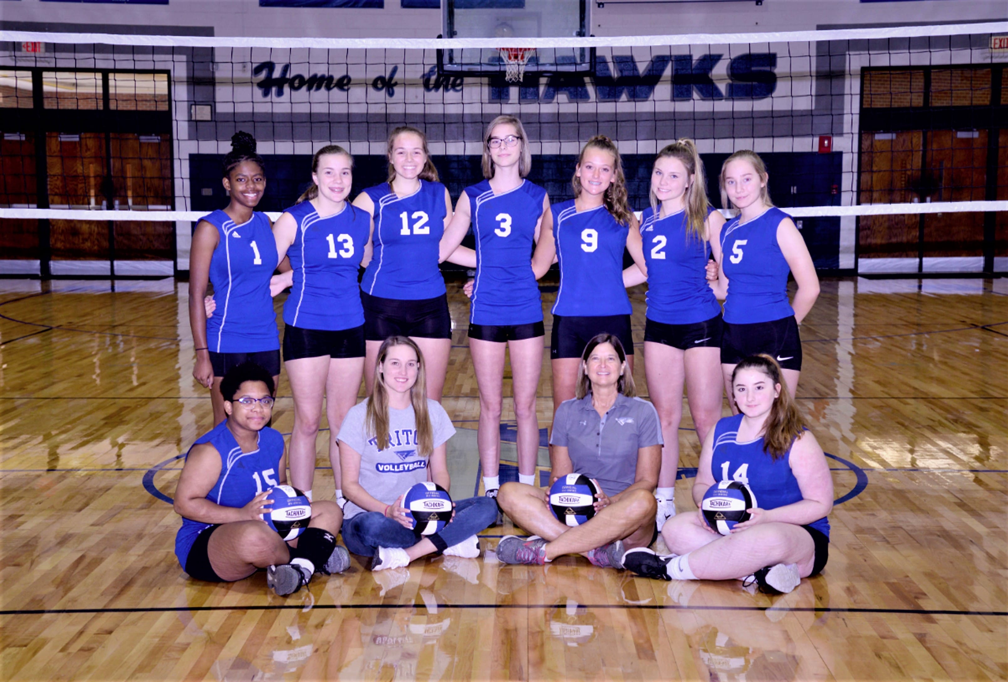 Hawk JV volleyball wins league