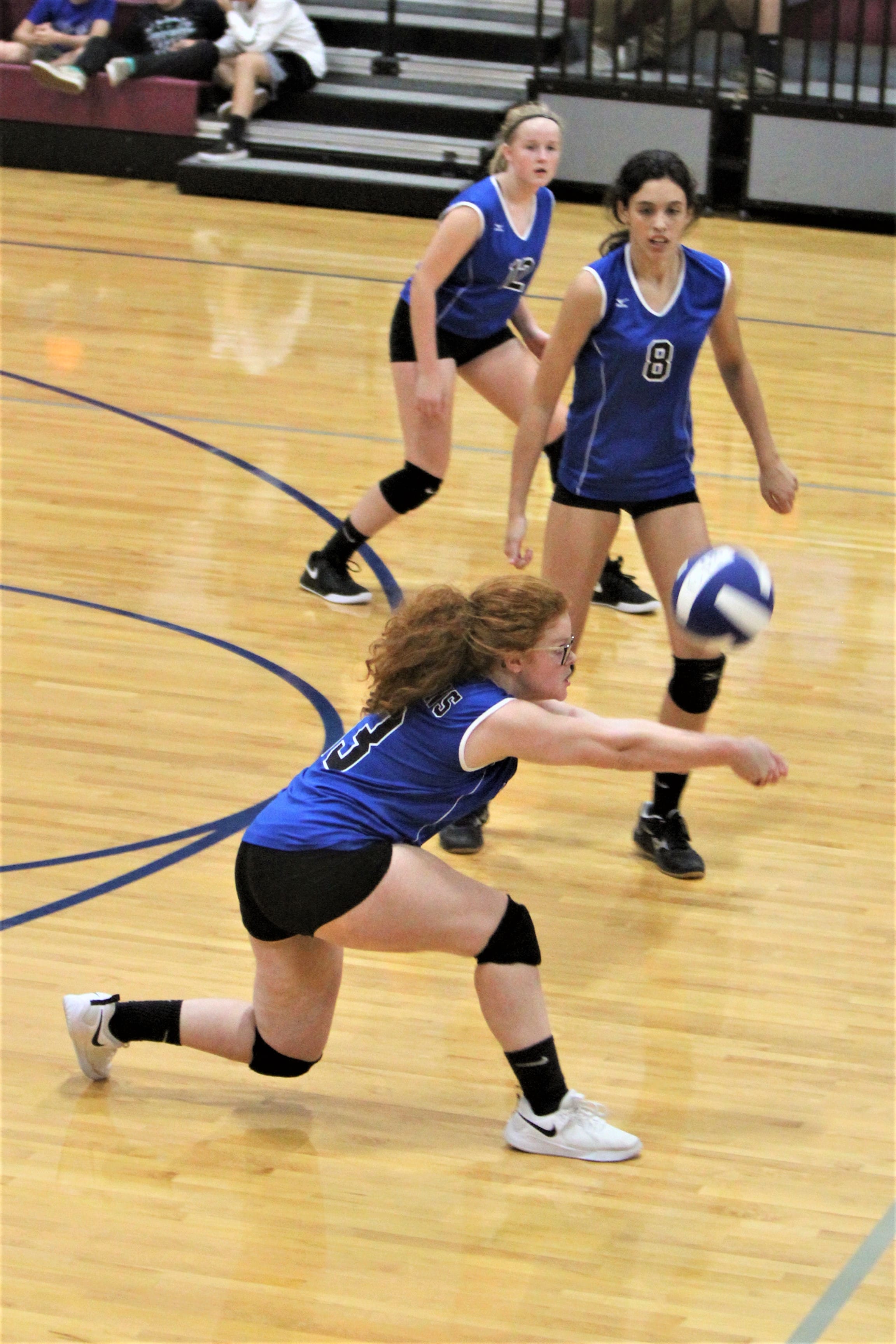 Coats-Erwin volleyball tops WH