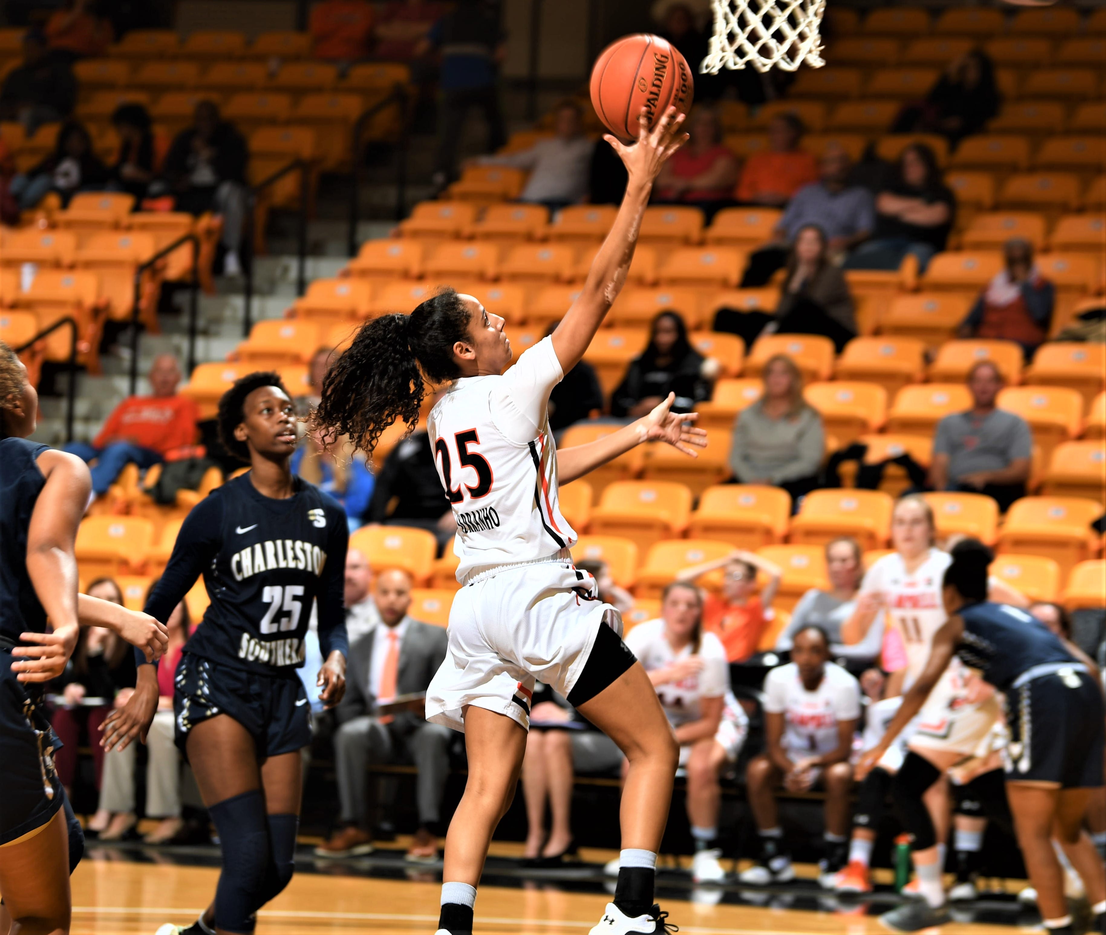 Lady Camels stay perfect at home