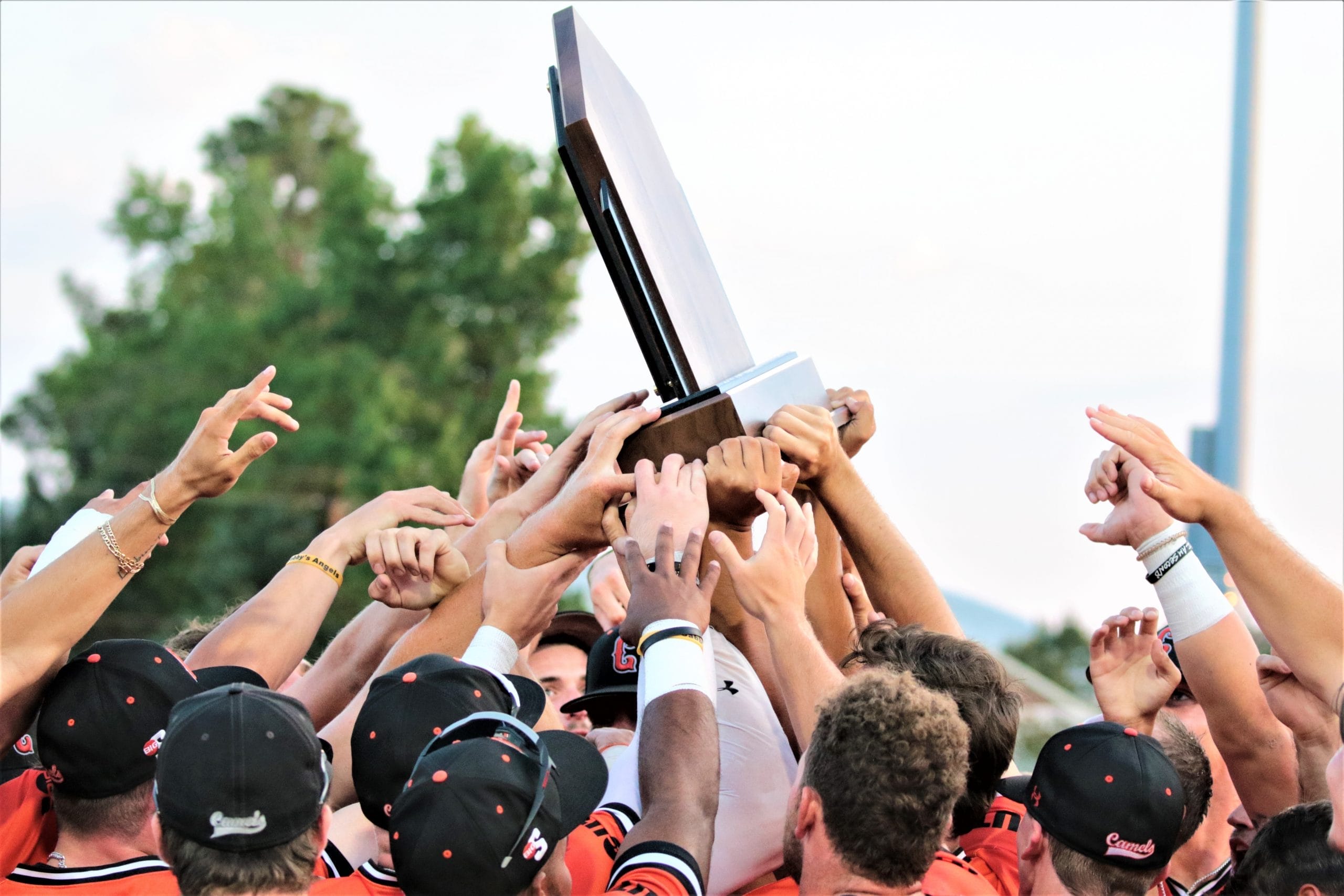 Camels claim third straight Big South baseball championship