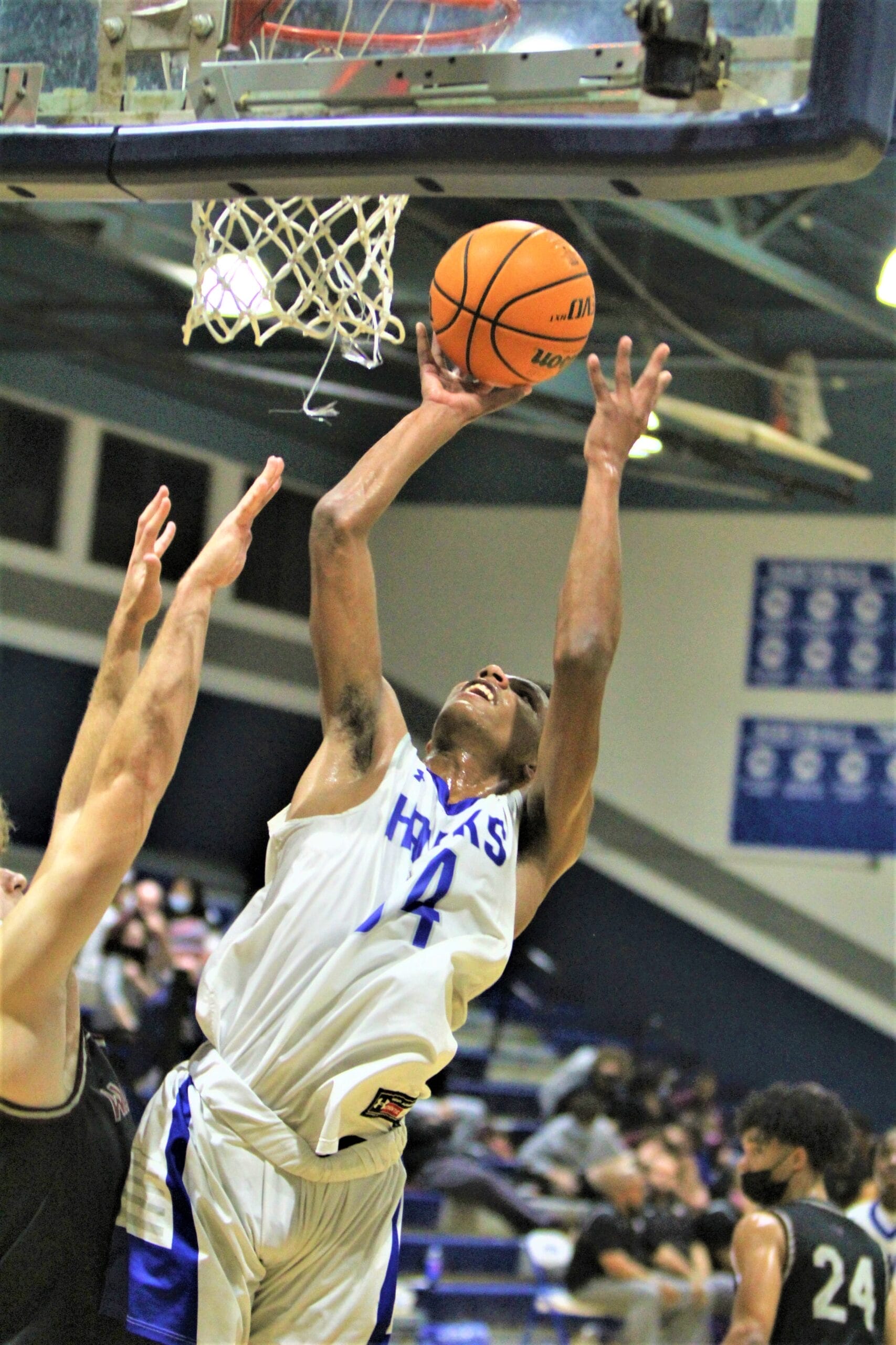 Hawks topped by Wakefield