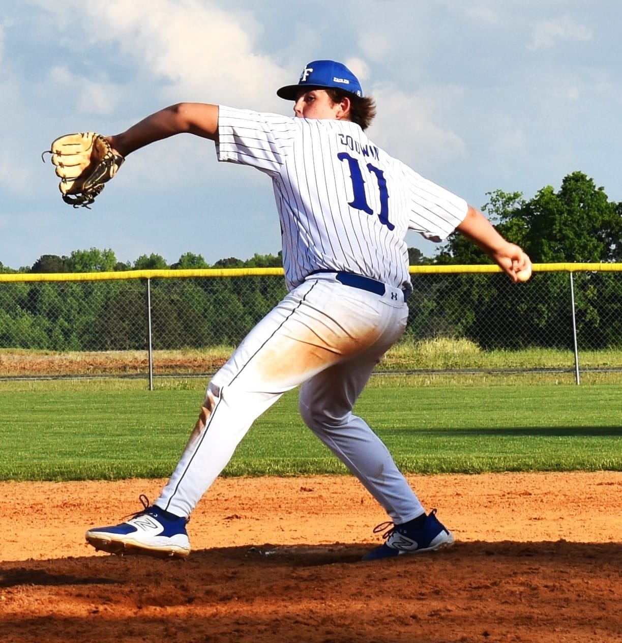 Seven Eagles earn all-state medallions in spring sports